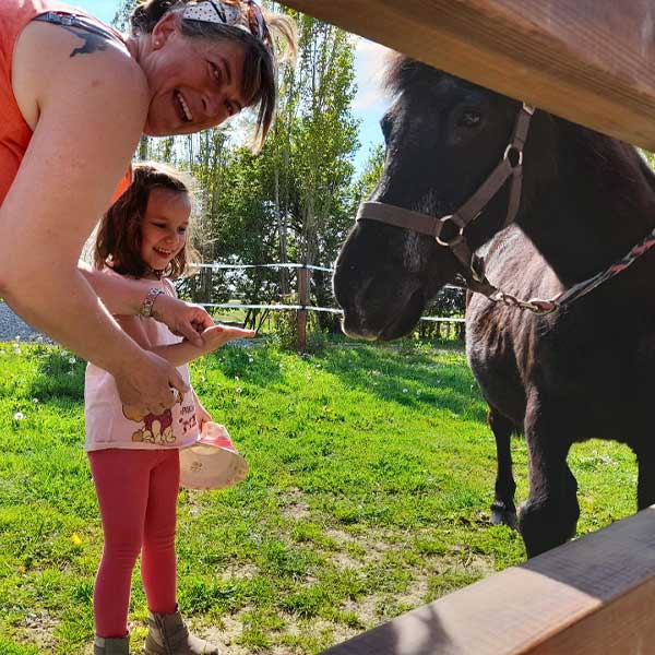 Pension pour chevaux et Cours d'équitation à Mouchamps près des Herbiers, Pouzauges et Chantonnay