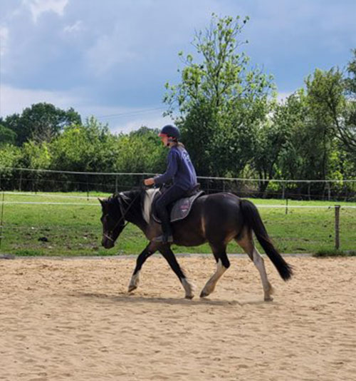 Coaching et animations équestres, cours d'équitation à Mouchamps près des Herbiers, Pouzauges et Chantonnay