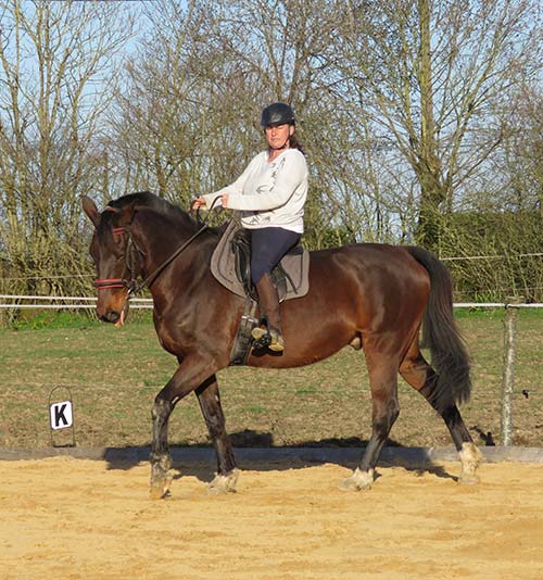 Coaching et animations équestres, cours d'équitation à Mouchamps près des Herbiers, Pouzauges et Chantonnay