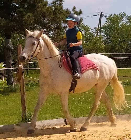 Coaching et animations équestres, cours d'équitation à Mouchamps près des Herbiers, Pouzauges et Chantonnay