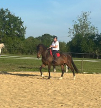 Coaching et animations équestres, cours d'équitation à Mouchamps près des Herbiers, Pouzauges et Chantonnay